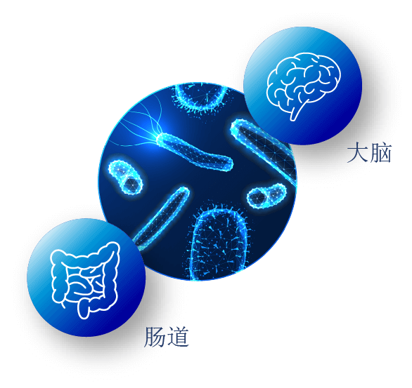 Capsule
