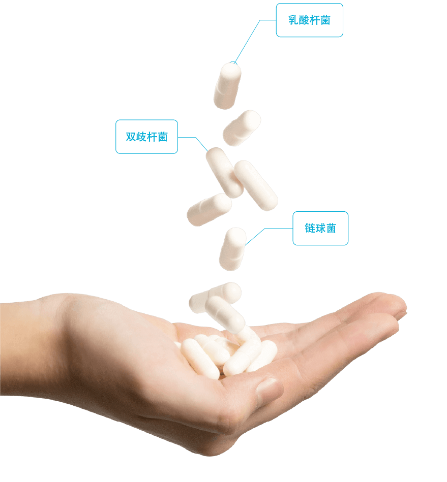 hand capsule