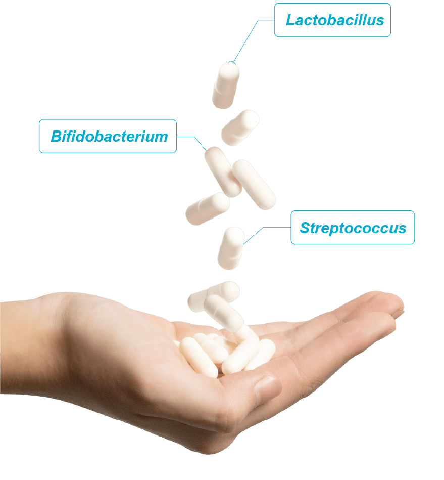 hand capsule