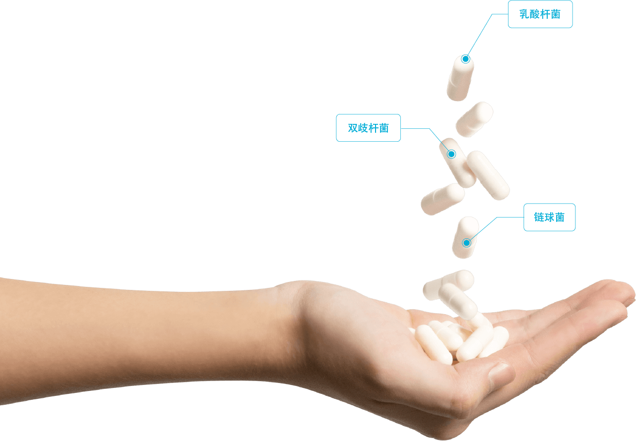 hand capsule