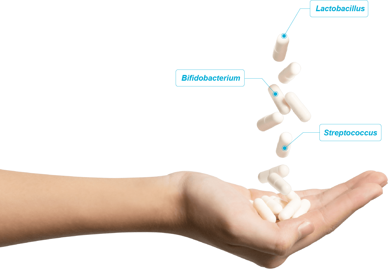 hand capsule