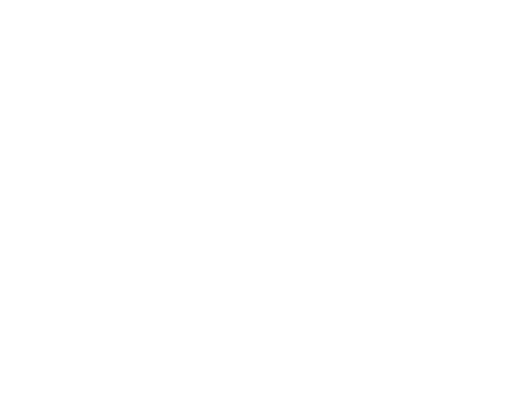 bg-net